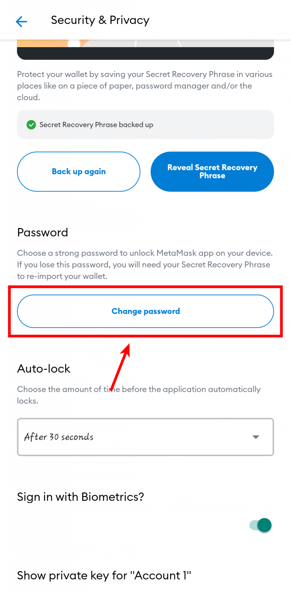 change password metamask