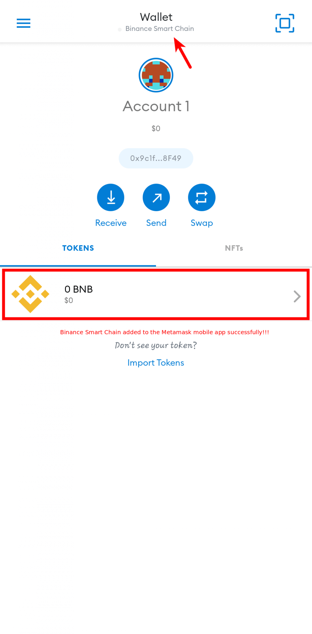 binance smart chain metamask address