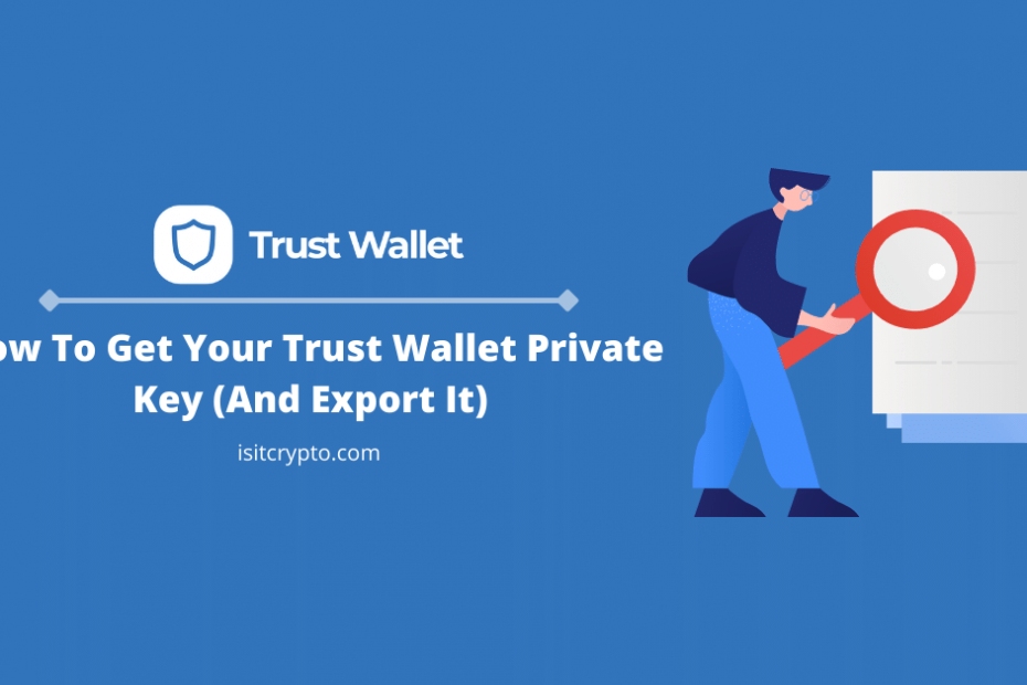 find trust wallet private key and export