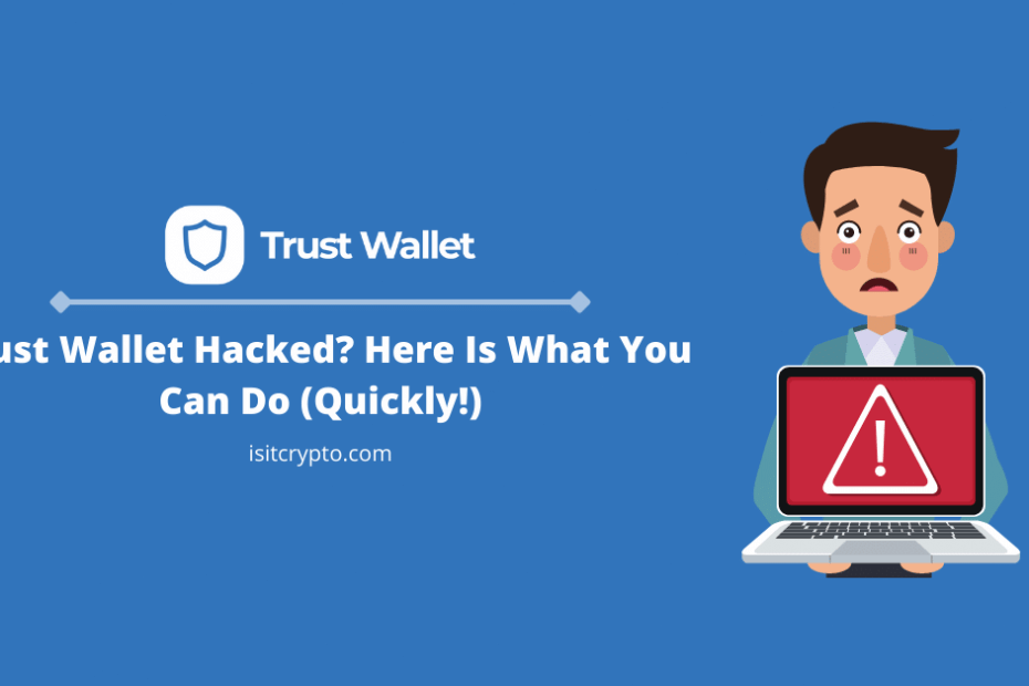 trust wallet hacked what to do