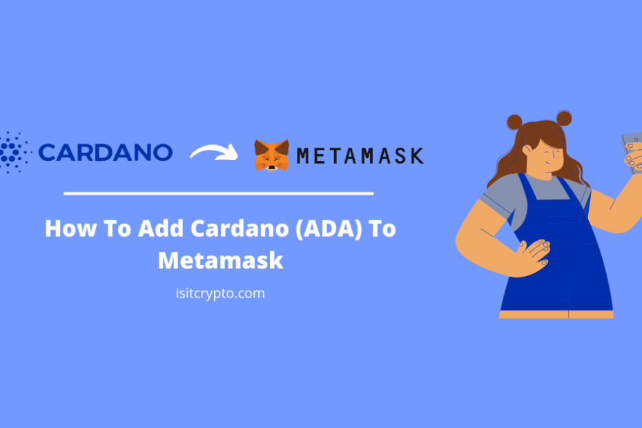 How To Add Cardano To Metamask Image