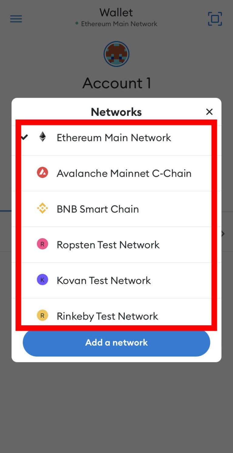 metamask difference between different networks