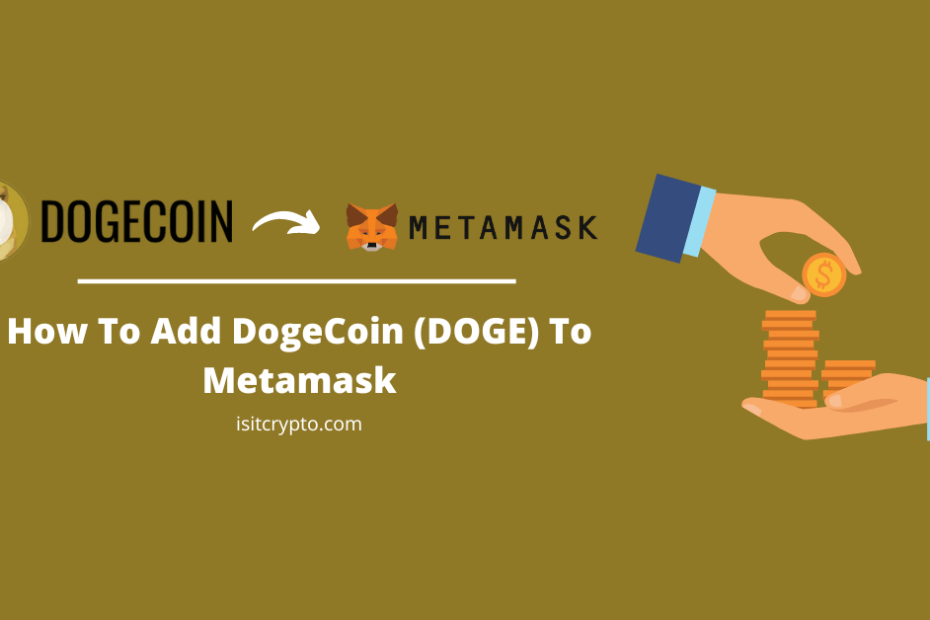 add doge to metamask